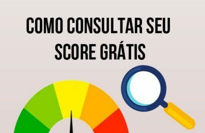 Consultar Score | Aprenda a Consultar Online e Grátis!